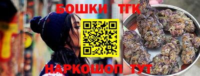 крисы Кингисепп