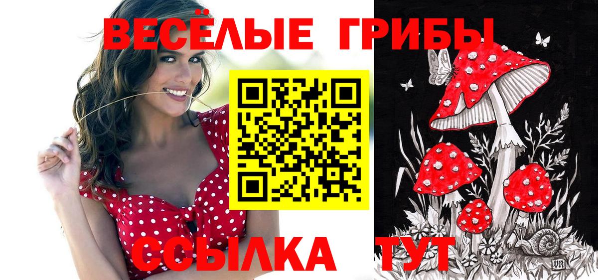Галлюциногенные грибы ЛСД Барабинск