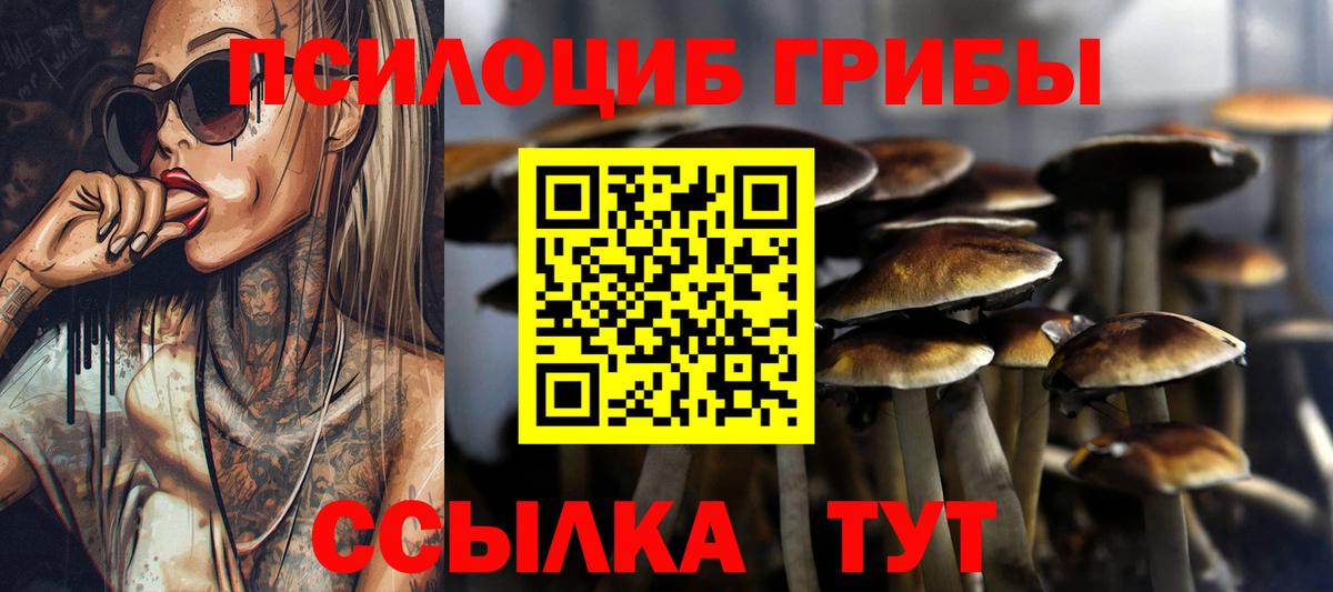 Псилоцибиновые грибы Psilocybe  Вход с VPN  Барабинск 